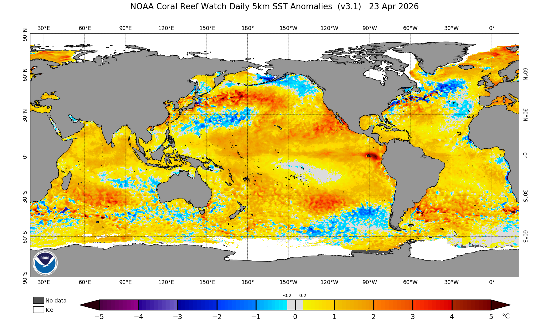 Daily SSTA map