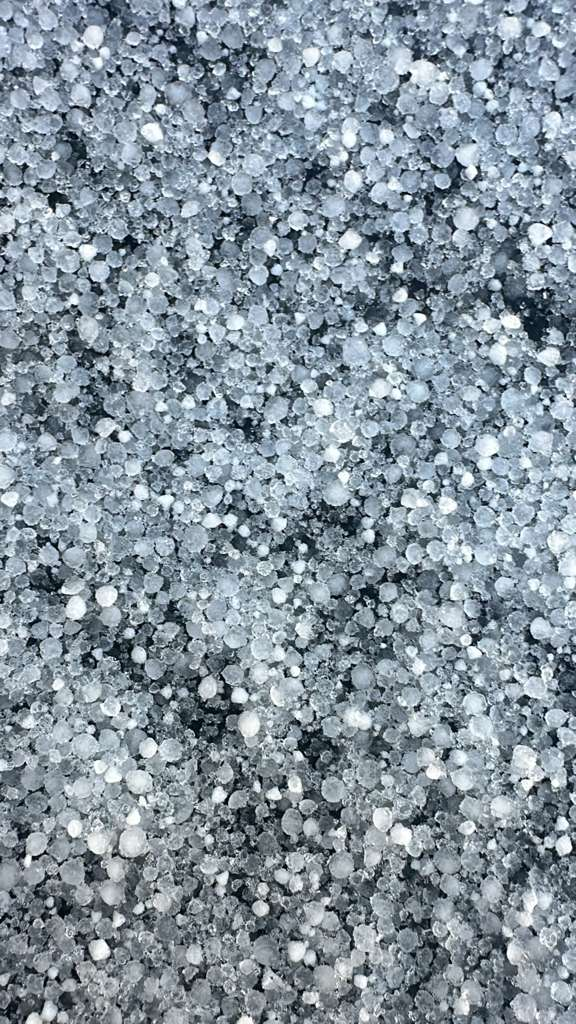 Photo of graupel resembling hail covering the ground after light snowfall at Mammoth