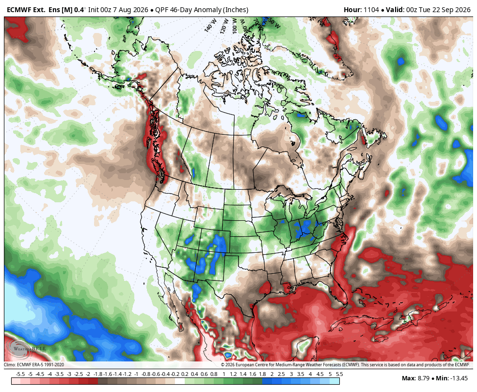 Euro Weekly 46-day precipitation anomalies