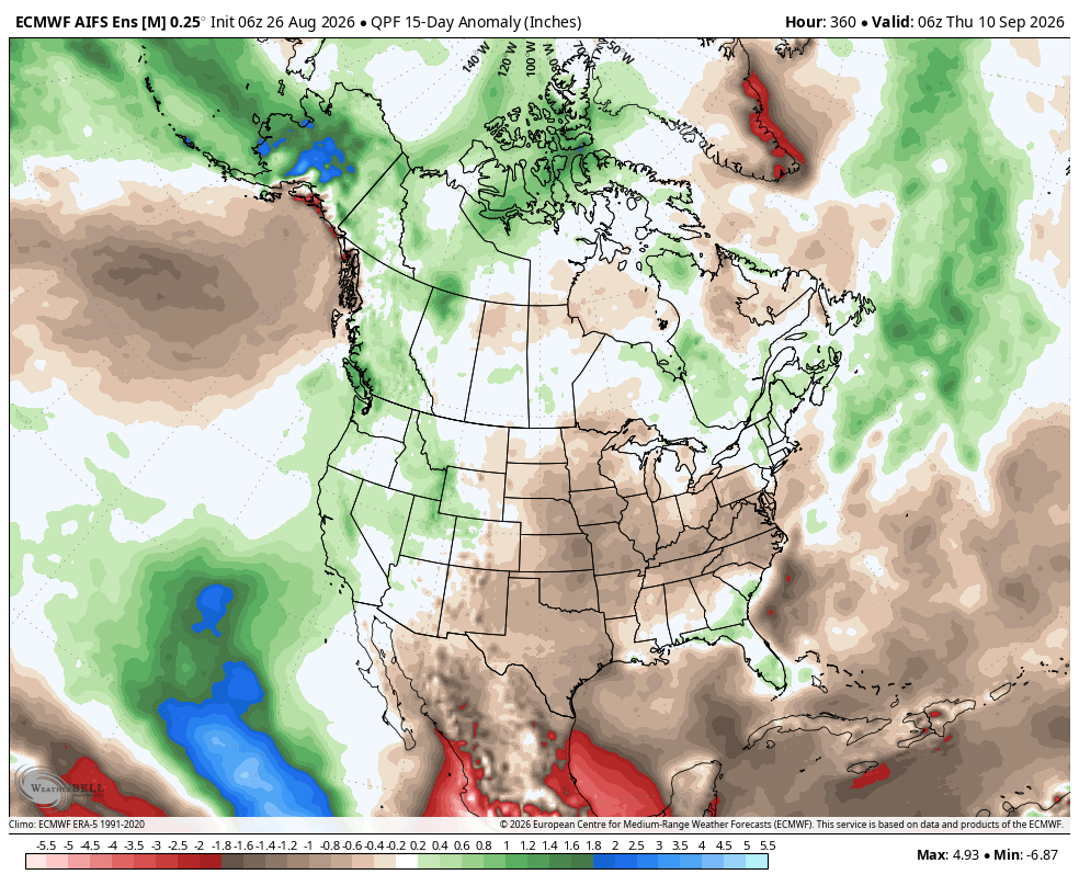 Euro AI ensemble precipitation anomalies