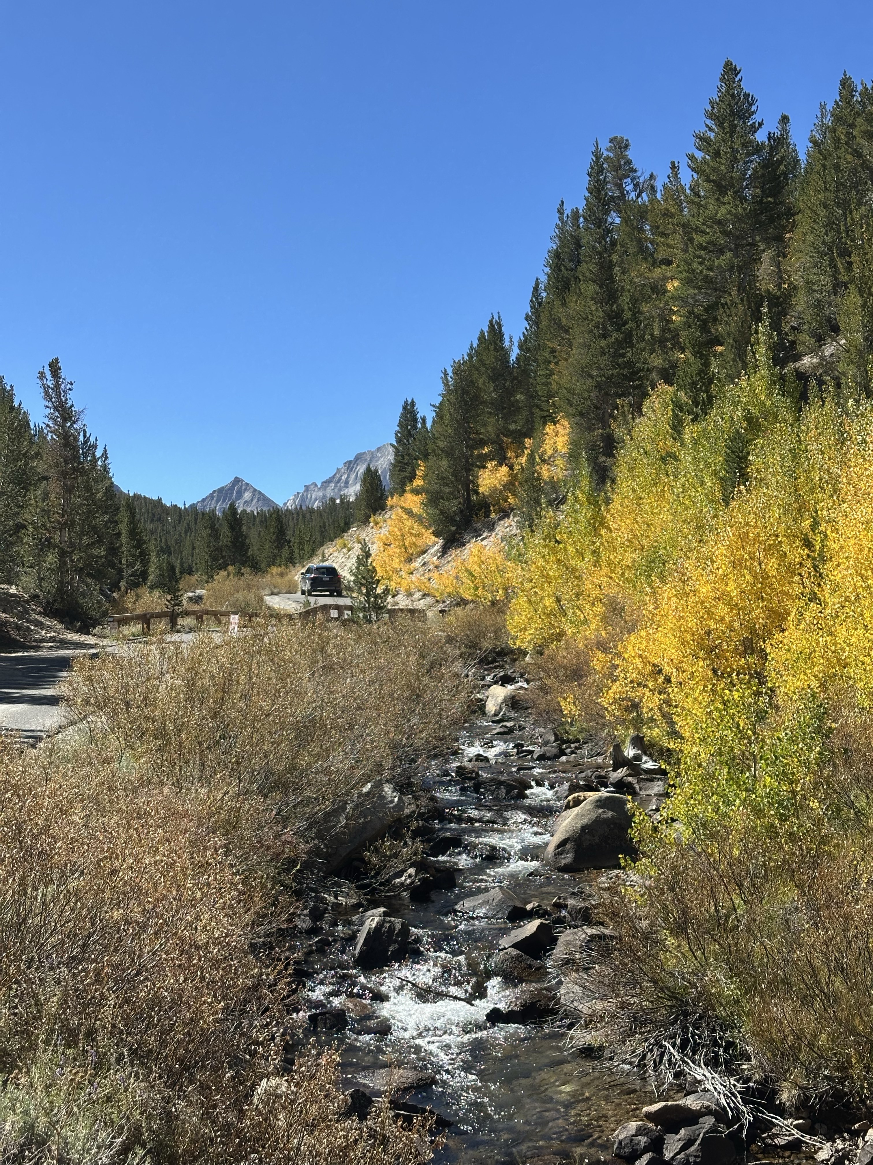 Color in Rock Creek