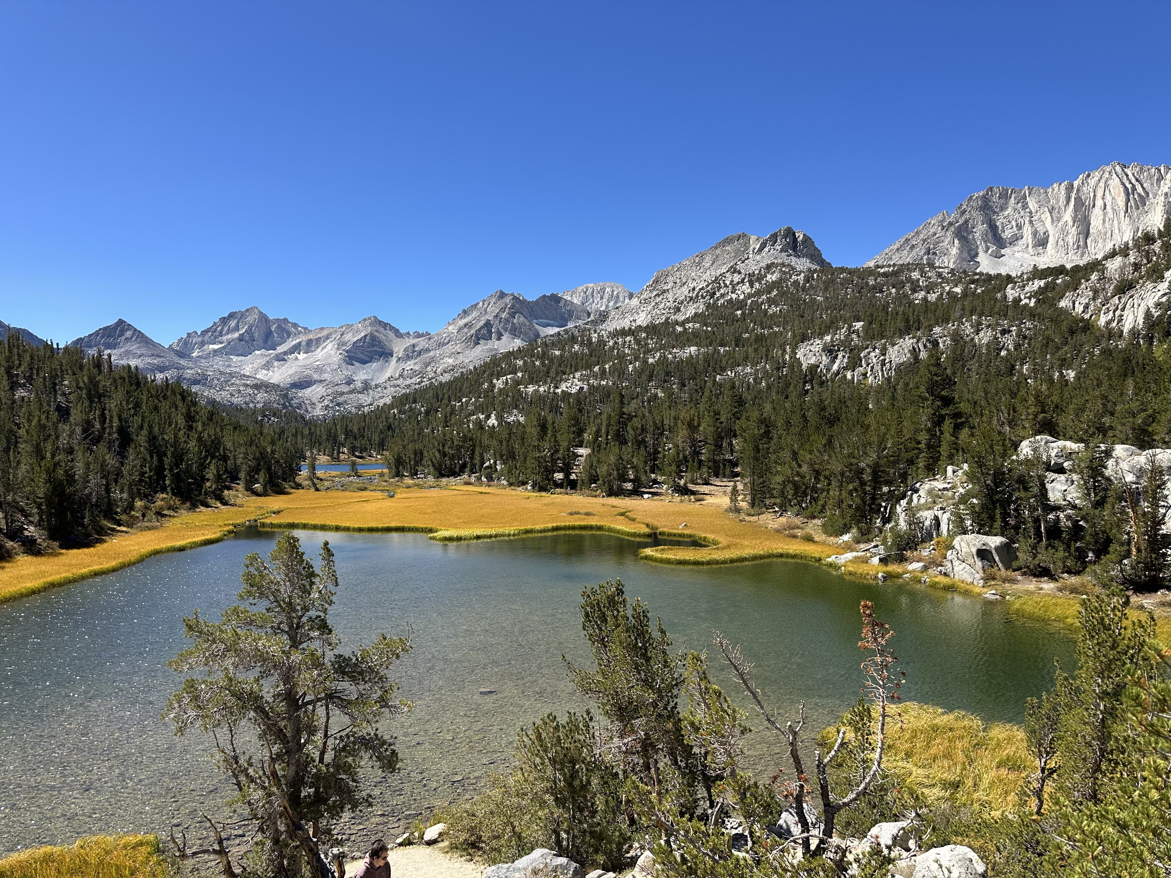 Alpine grasses are a brilliant orange
