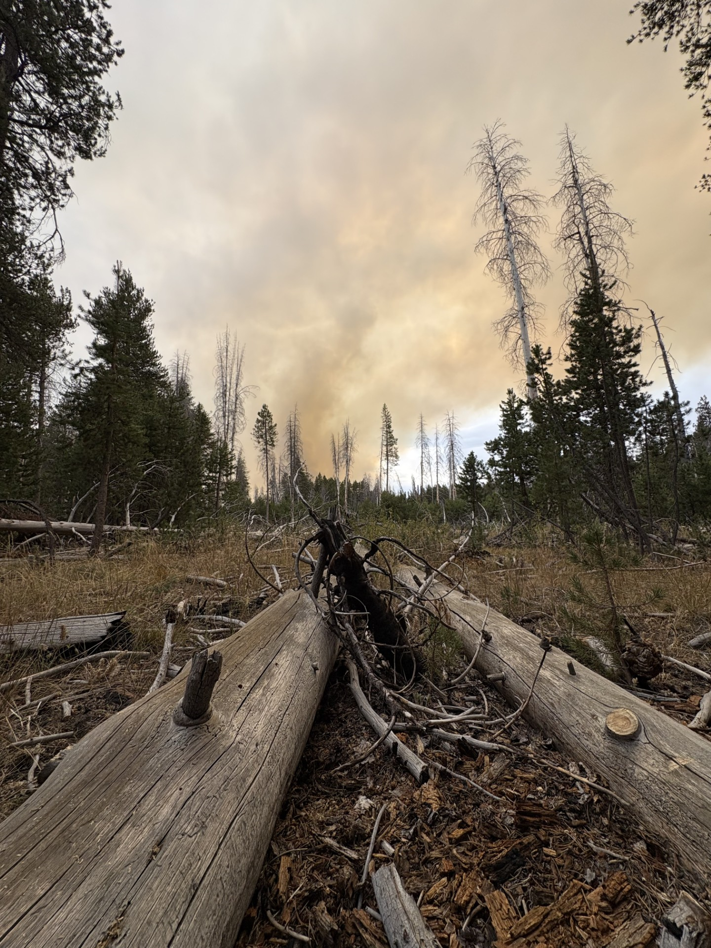 Dome Fire photograph from Inciweb.gov