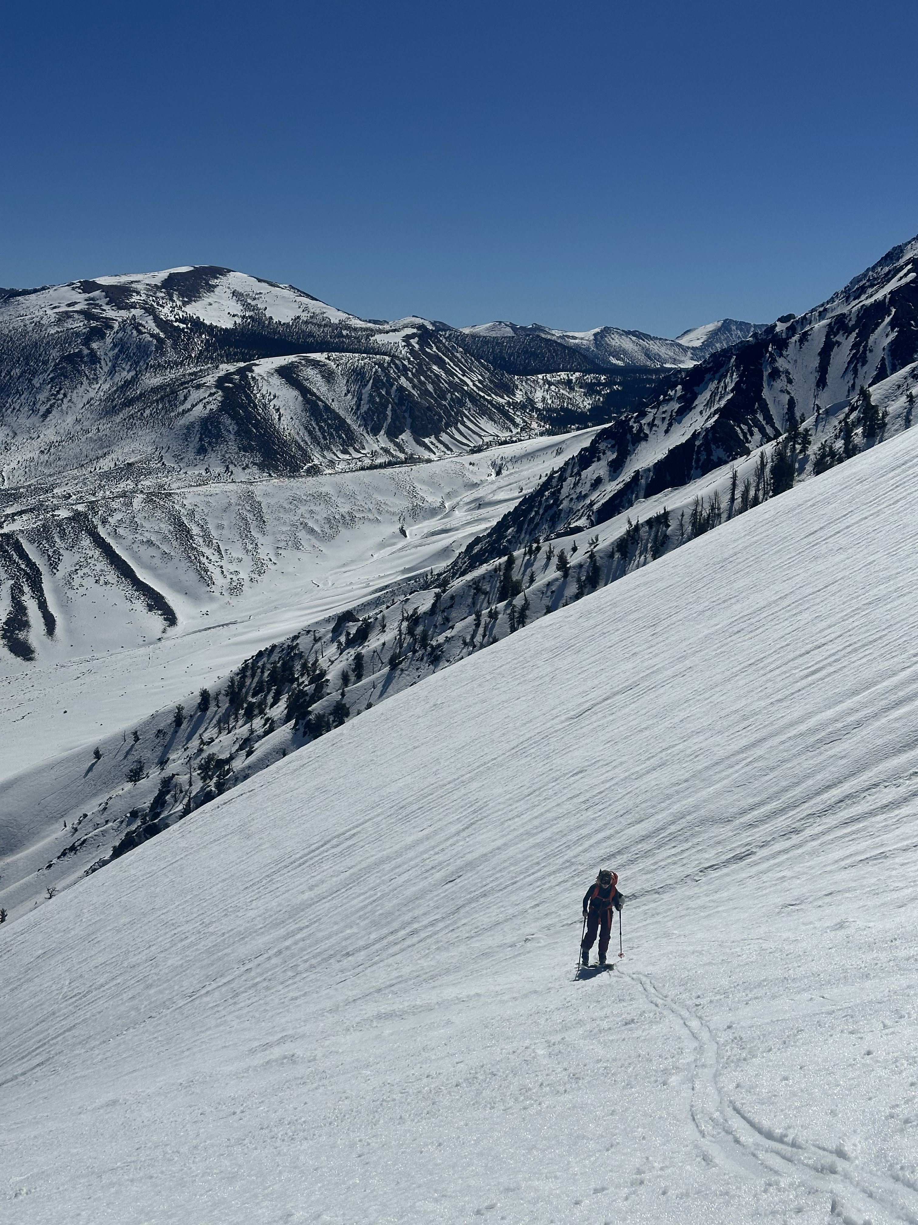 Skier enjoying corn snow on a warm spring-like day in the Eastern Sierra