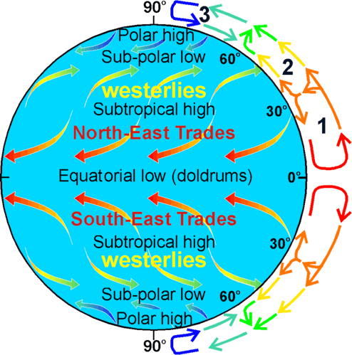 Diagram showing westerly wind bursts driven by MJO forcing pushing warm water eastward via Kelvin waves