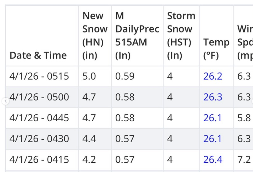 Mammoth sesame snow study plot showing 5" of snow yesterday
