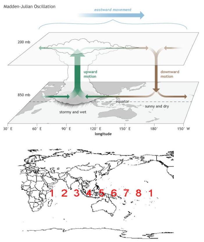 Diagram explaining the Madden-Julian Oscillation showing eastward movement of convection through numbered phases