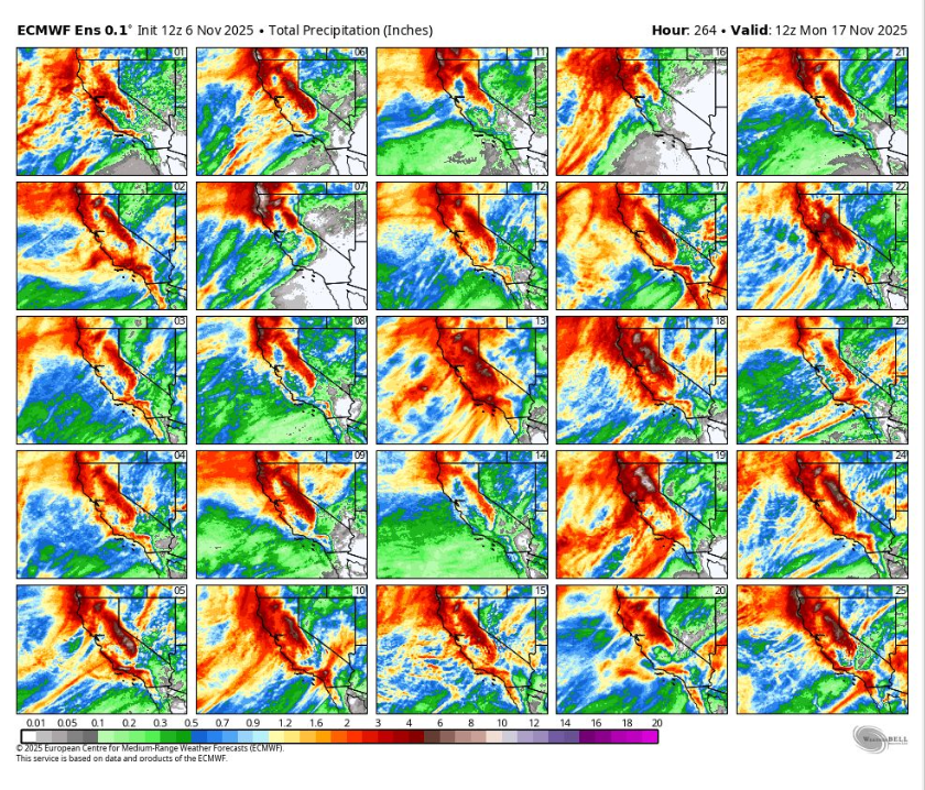 ECMWF ensemble precipitation stamps showing multiple members with different outcomes